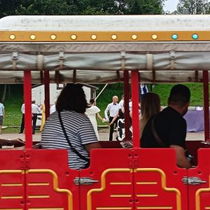 изображение_viber_2025-08-12_14-06-56-495